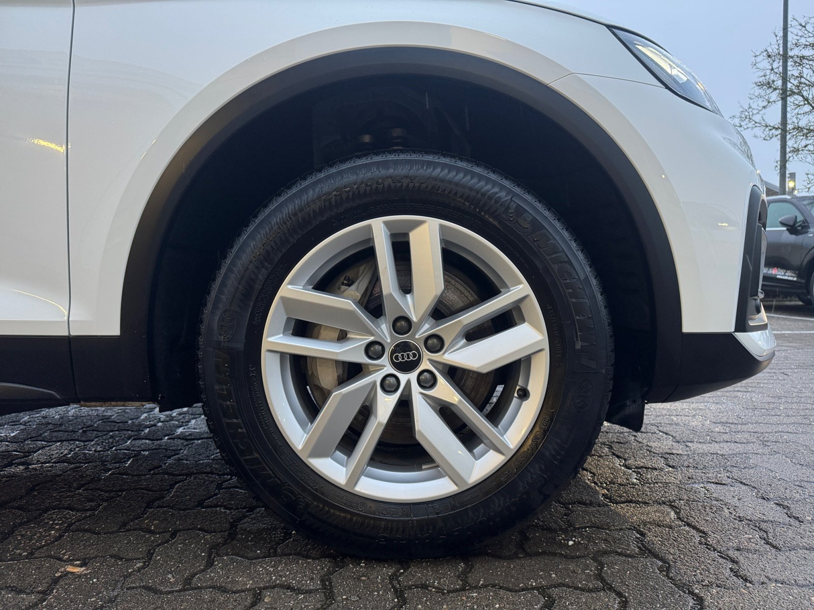 Q5 50 TFSI e quattro S tronic PDC,Standhz,ACC,LM