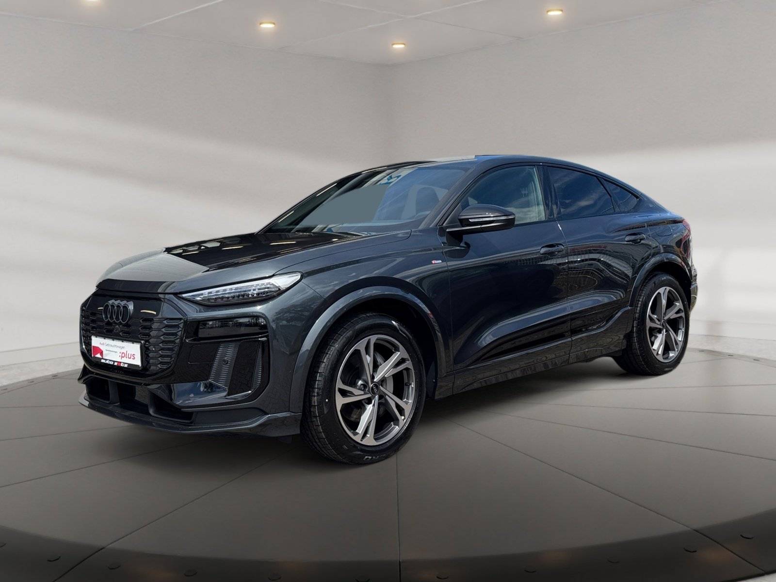 Q6 Sportback e-tron performance 225 kW S Line,LM