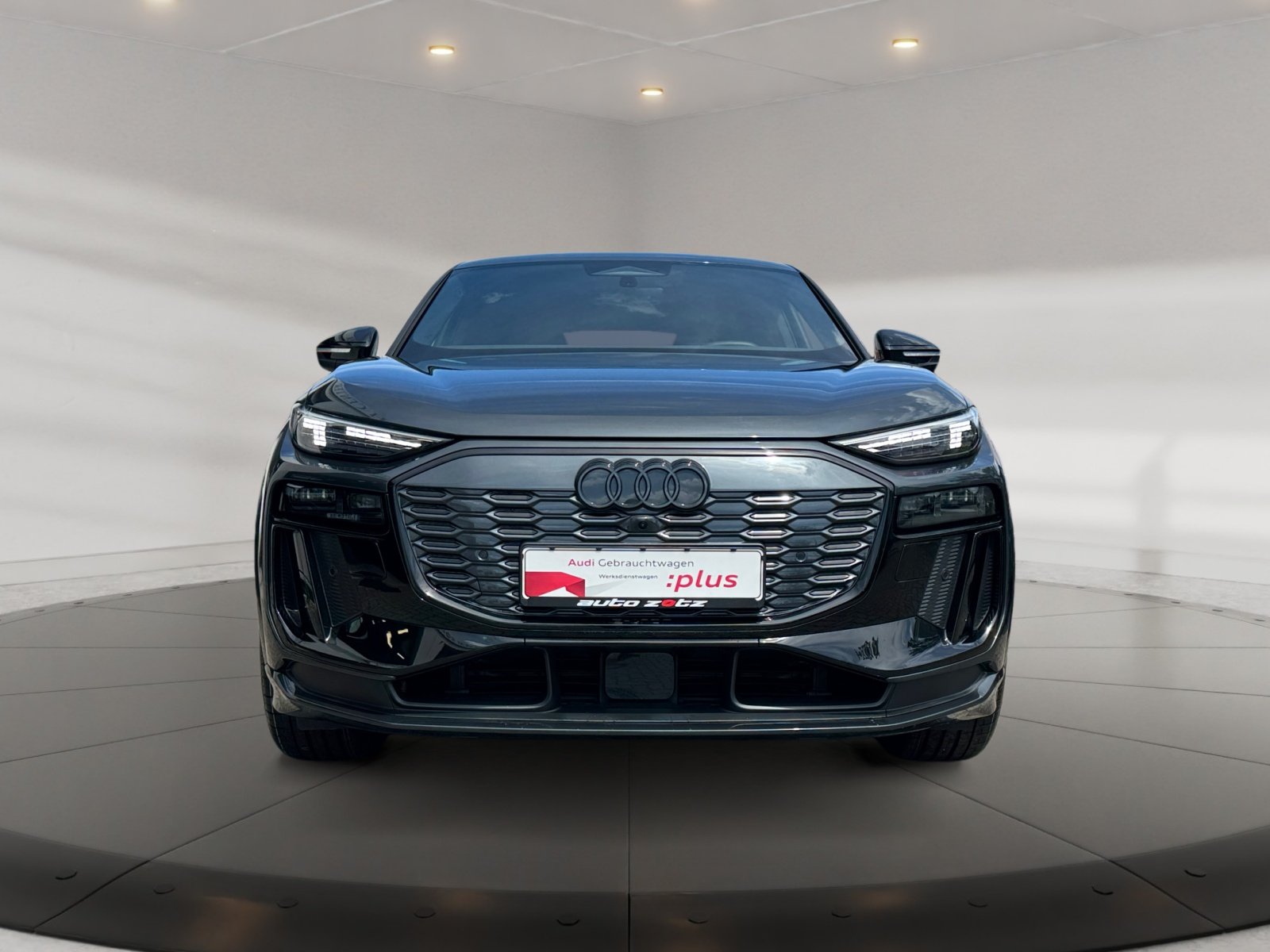 Q6 Sportback e-tron performance 225 kW S Line,LM