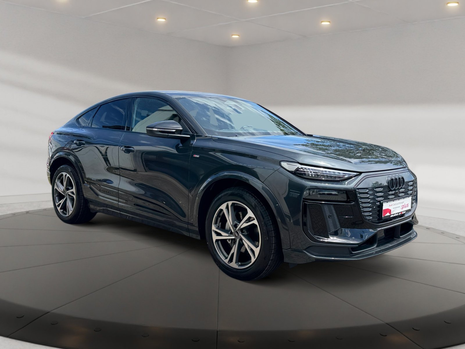 Q6 Sportback e-tron performance 225 kW S Line,LM