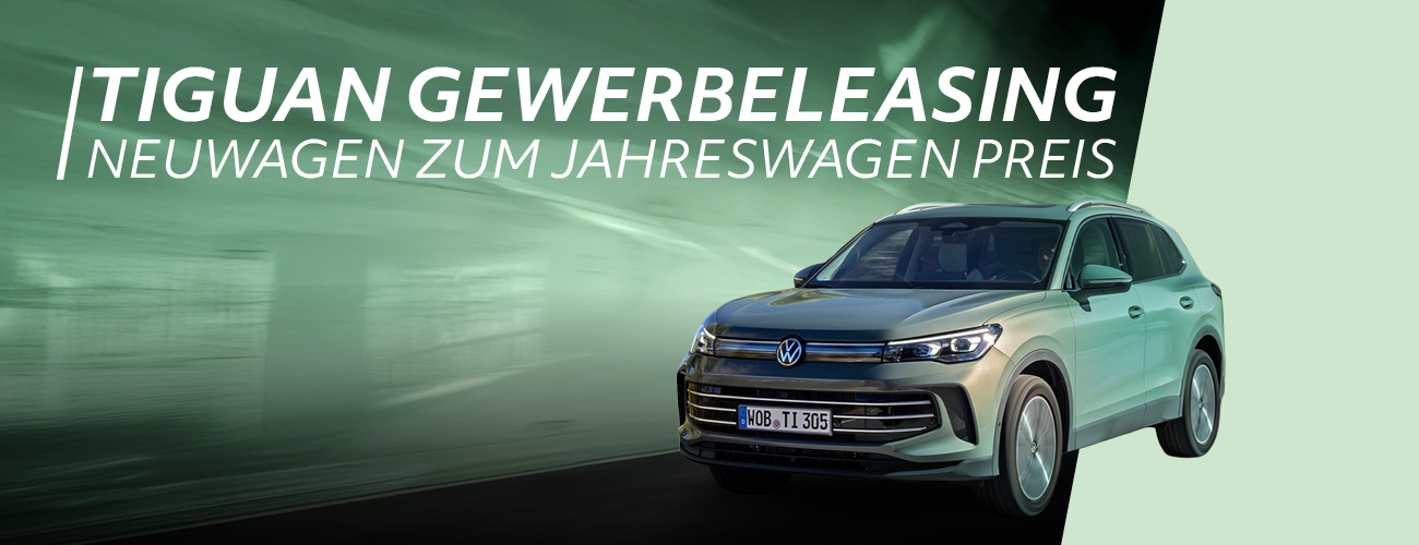 HEADER DESKTOP TIGUAN GEWERBE Q2