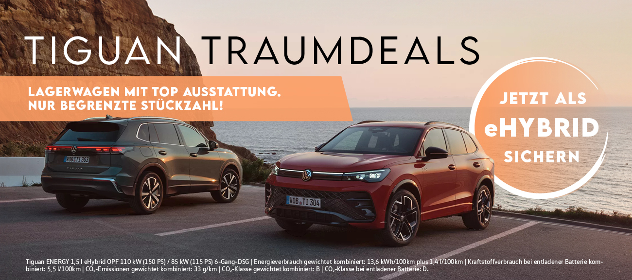HEADER DESKTOP VW Tiguan Lagerwagen